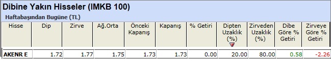 Dibine yakın hisseler 08-03-2013