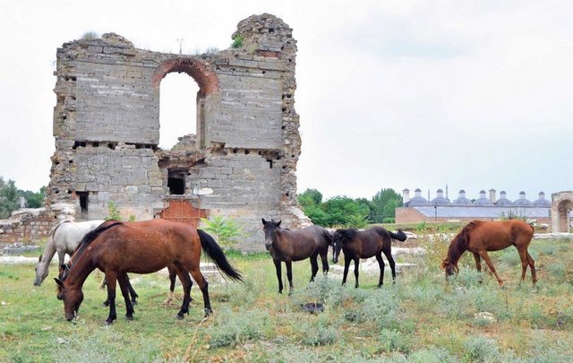 Edirne Sarayı'nın yıkılmadan önceki orijinal fotoğrafları ortaya çıktı 