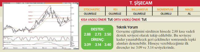 22 hisselik teknik analiz