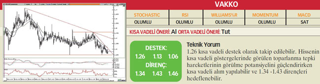 22 hisselik teknik analiz