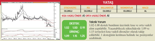 22 hisselik teknik analiz