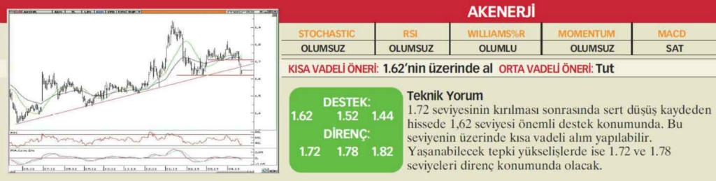 22 hisselik teknik analiz