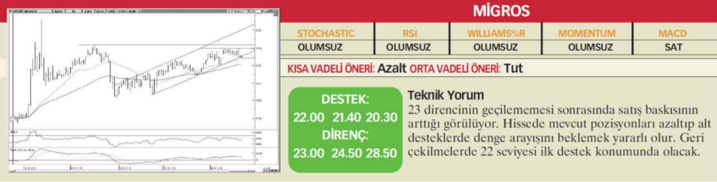 22 hisselik teknik analiz