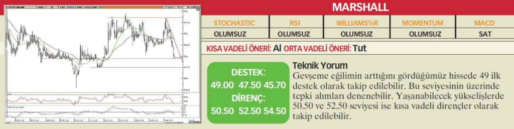 22 hisselik teknik analiz