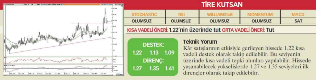 22 hisselik teknik analiz