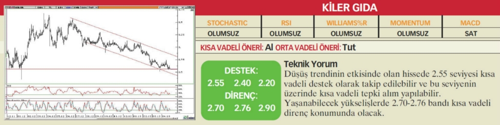 22 hisselik teknik analiz