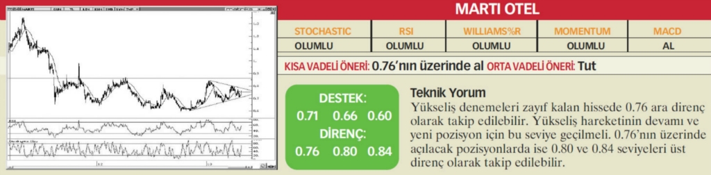 22 hisselik teknik analiz