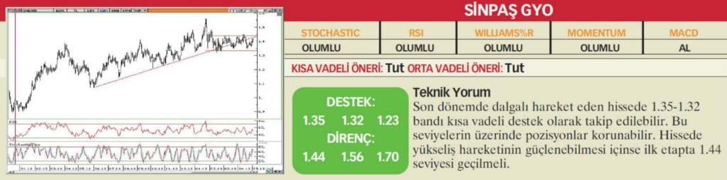 17 hisselik teknik analiz