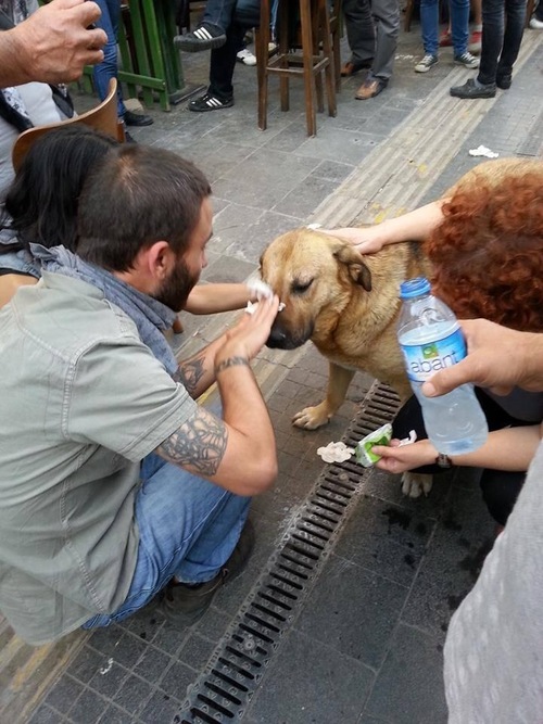 Ak Partili direnişçiden başbakana mektup