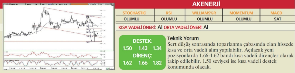 22 hisselik teknik analiz