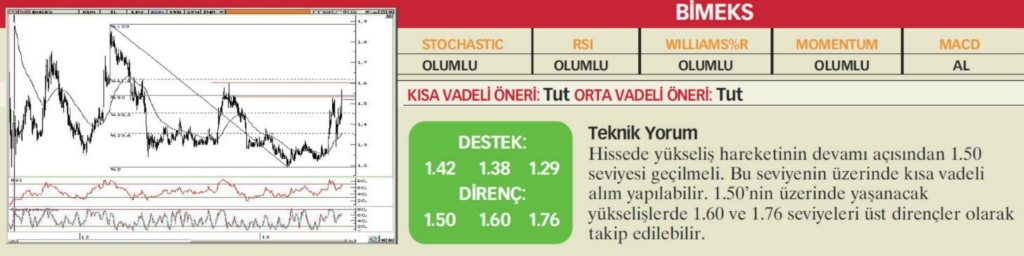 22 hisselik teknik analiz