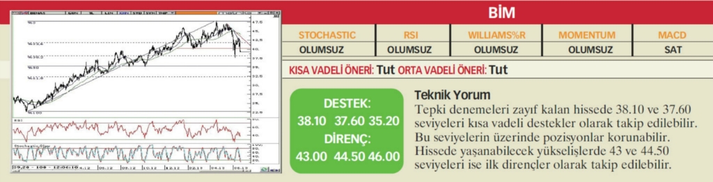 22 hisselik teknik analiz