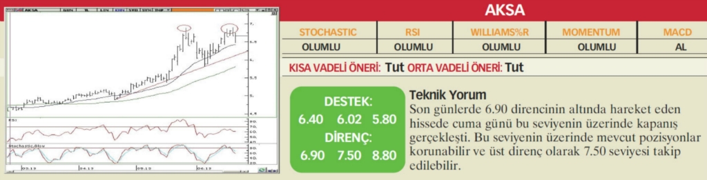 22 hisselik teknik analiz