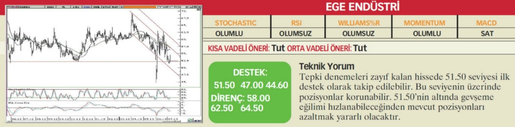 22 hisselik teknik analiz