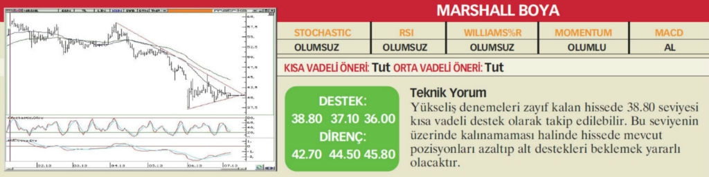 22 hisselik teknik analiz