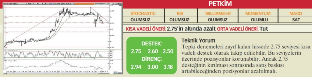 22 hisselik teknik analiz