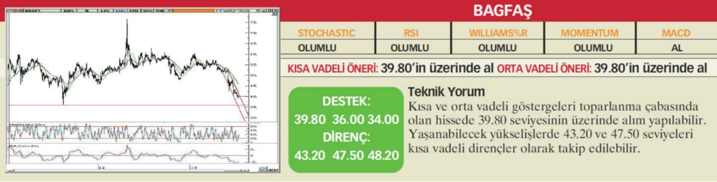 22 hisselik teknik analiz