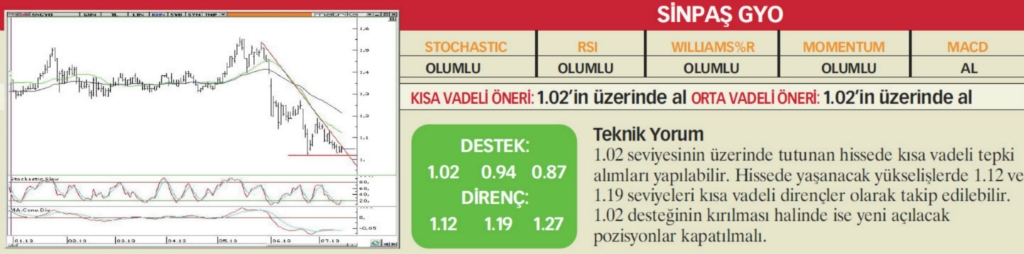 22 hisselik teknik analiz