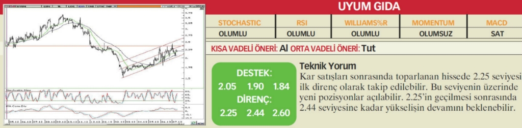 22 hisselik teknik analiz