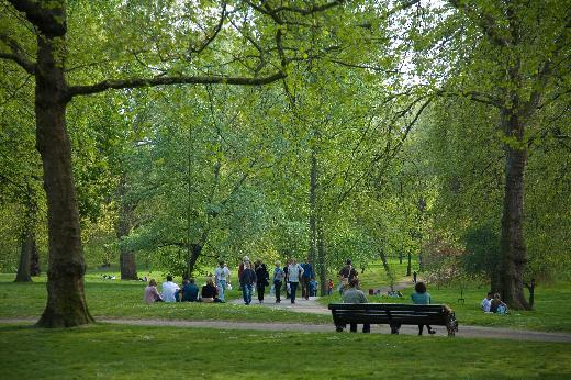 Dünyadaki şehir parkları