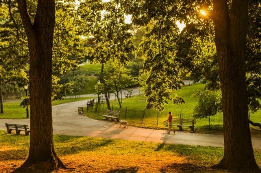 Dünyadaki şehir parkları