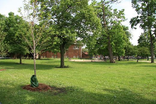 Dünyadaki şehir parkları