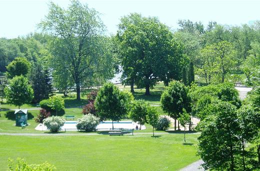 Dünyadaki şehir parkları