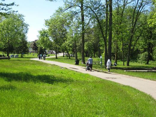 Dünyadaki şehir parkları