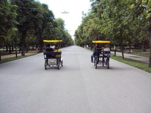 Dünyadaki şehir parkları