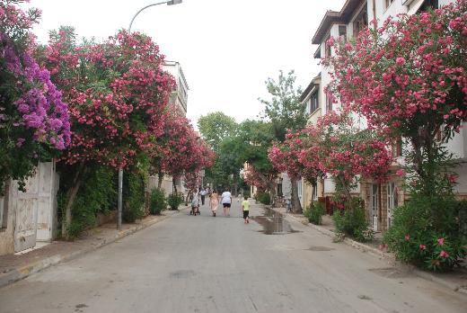 İstanbul’da mutlaka yapmanız gereken 50 şey