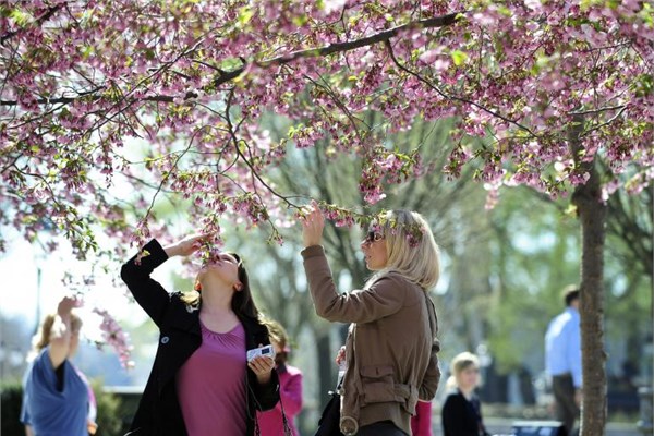 Türkiye vergi gelirinde sondan beşinci