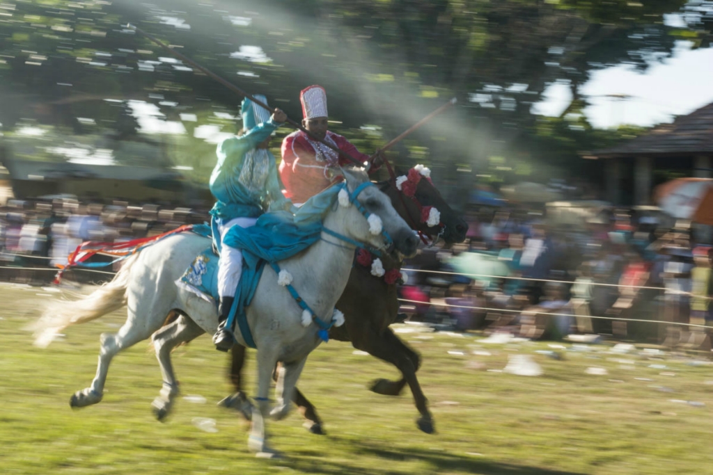 Cavalhada festivali