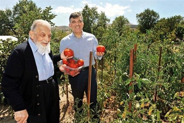 Fotoğraflarla Gül'ün 7 yılı
