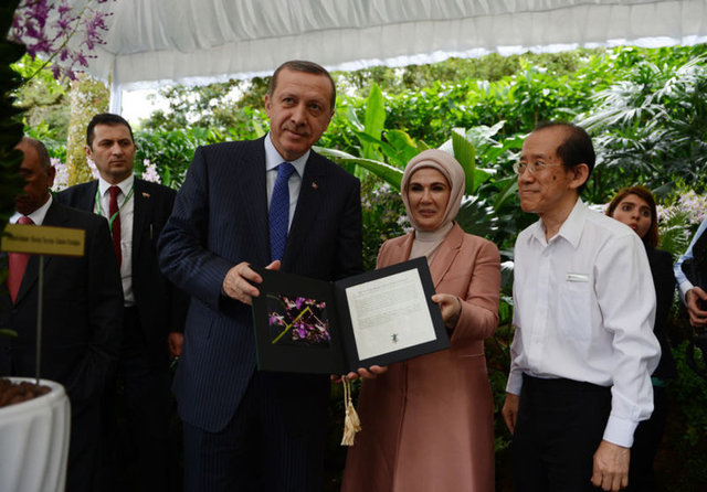 Türkiye'nin yeni First Lady'si Emine Erdoğan
