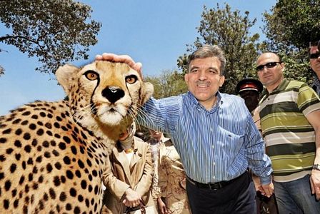 Fotoğraflarla Cumhurbaşkanı Abdullah Gül'ün 7 yılı