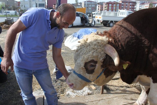 Kurbanlık satış fiyatları açıklandı 