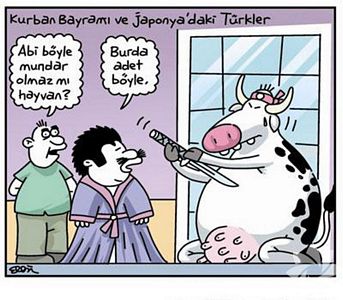 Kurban bayramı karikatürleri...
