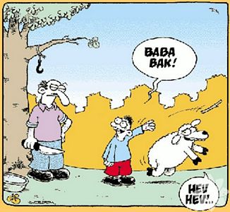 Kurban bayramı karikatürleri...
