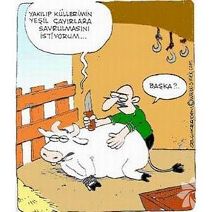 Kurban bayramı karikatürleri...
