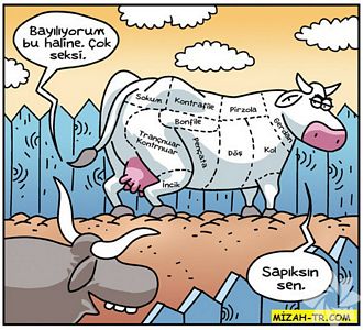 Kurban bayramı karikatürleri...
