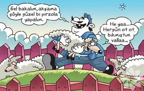 Kurban bayramı karikatürleri...
