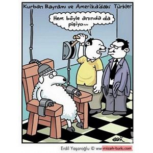 Kurban bayramı karikatürleri...
