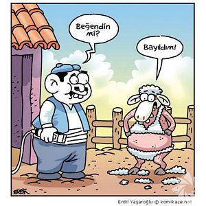 Kurban bayramı karikatürleri...
