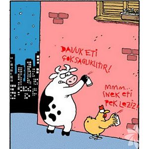 Kurban bayramı karikatürleri...
