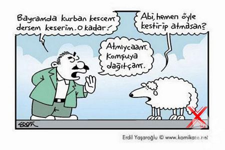 Kurban bayramı karikatürleri...
