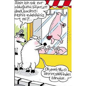 Kurban bayramı karikatürleri...
