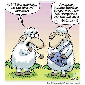 Kurban bayramı karikatürleri...
