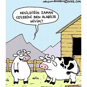 Kurban bayramı karikatürleri...
