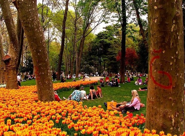 İstanbul'un 34 olmazsa olmazı!
