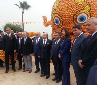 Mersin Narinciye Festivali